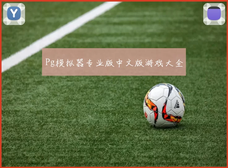 Pg模拟器专业版中文版游戏大全