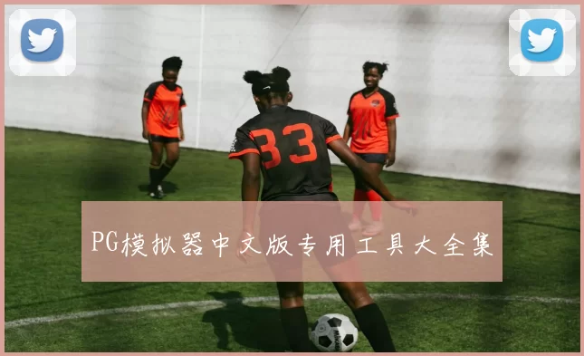 PG模拟器中文版专用工具大全集