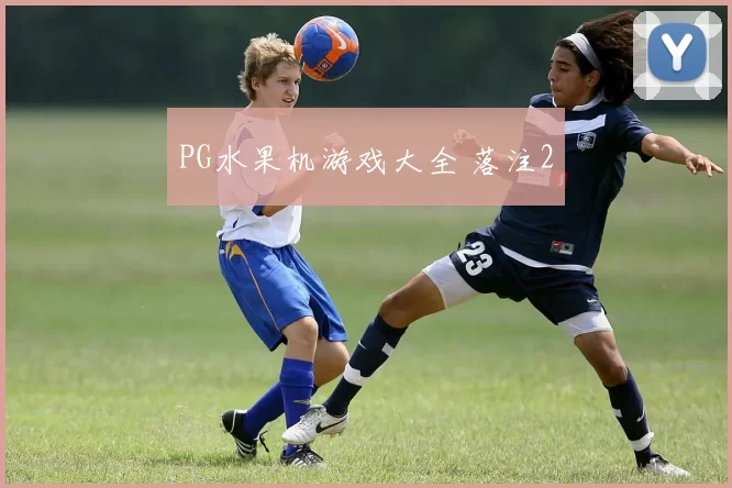 PG水果机游戏大全 落注2