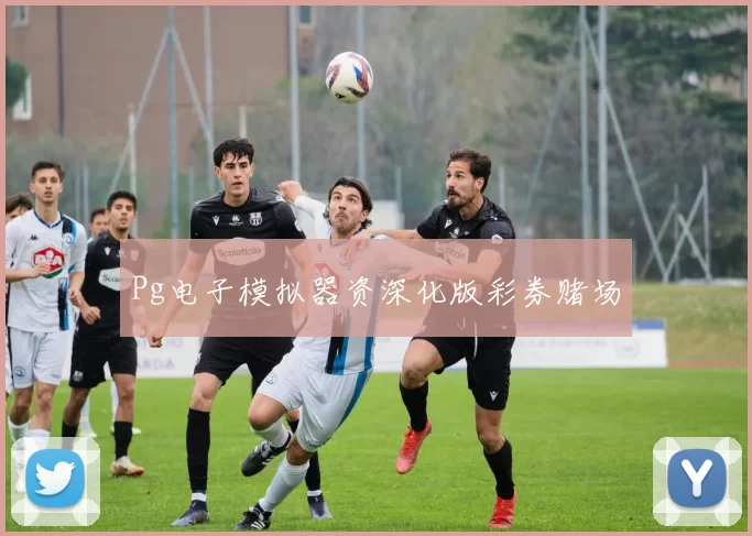 Pg电子模拟器资深化版彩券赌场